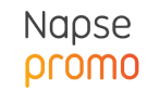 logo-napse-bridge (2)