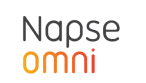  logo-napse-bridge (5)