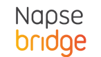  logo-napse-bridge-1